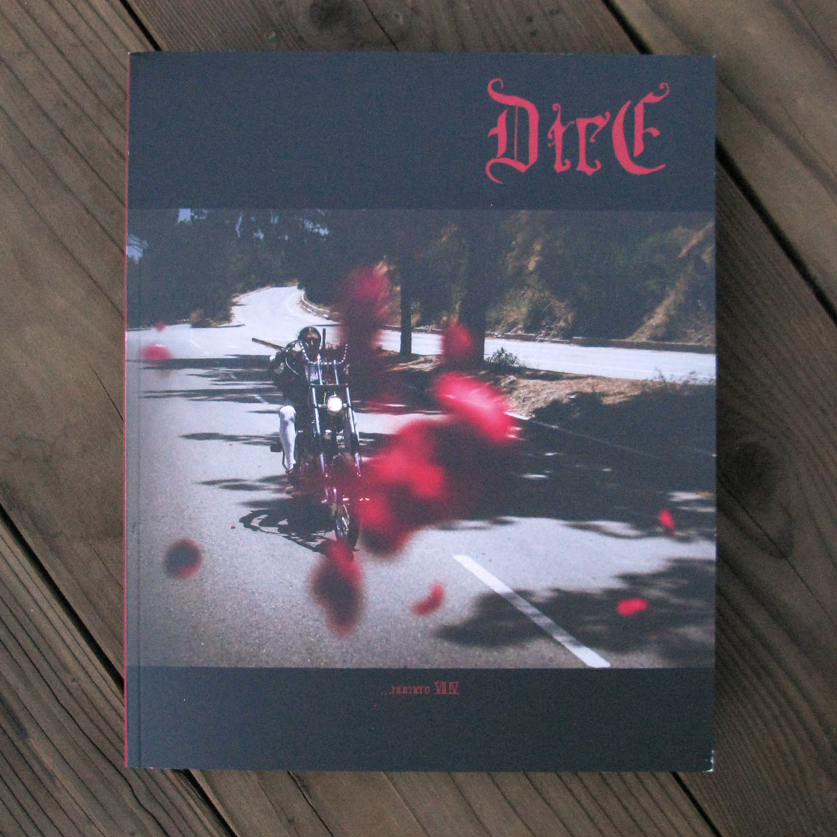 DicE Magazine 74